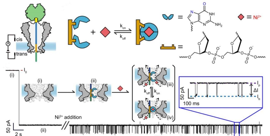 单分子化学反应动力学研究